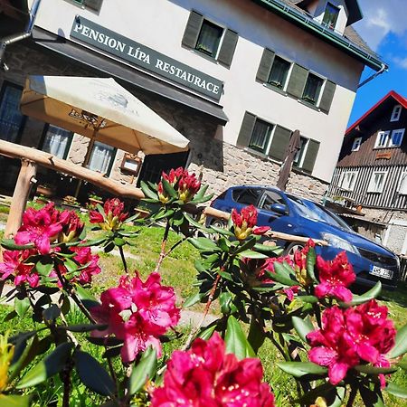 Pension Lipa Horní Maršov Екстериор снимка